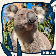 Load image into Gallery viewer, Ninja