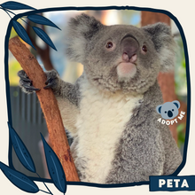Load image into Gallery viewer, Peta