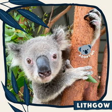 Load image into Gallery viewer, Lithgow