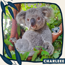 Load image into Gallery viewer, Charleee