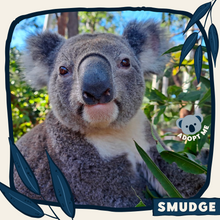 Load image into Gallery viewer, Smudge