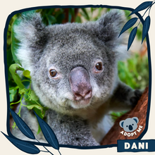 Load image into Gallery viewer, Dani