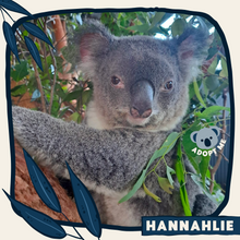 Load image into Gallery viewer, Hannahlie