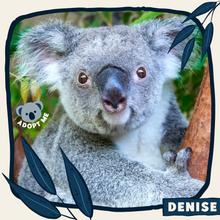 Load image into Gallery viewer, Denise
