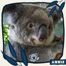 Load image into Gallery viewer, Annie