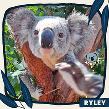 Load image into Gallery viewer, Ryley