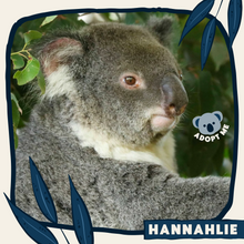 Load image into Gallery viewer, Hannahlie
