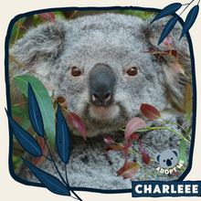 Load image into Gallery viewer, Charleee