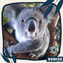 Load image into Gallery viewer, Denise