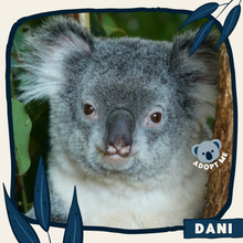 Load image into Gallery viewer, Dani