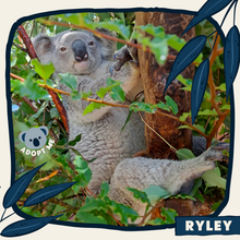 Load image into Gallery viewer, Ryley