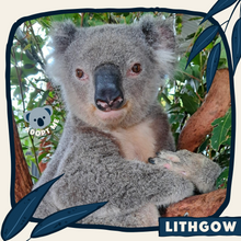 Load image into Gallery viewer, Lithgow