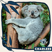 Load image into Gallery viewer, Charleee