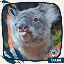 Load image into Gallery viewer, Dani