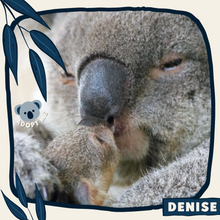 Load image into Gallery viewer, Denise