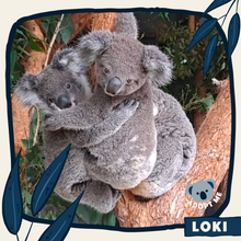 Load image into Gallery viewer, Loki