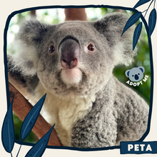 Load image into Gallery viewer, Peta