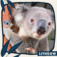 Load image into Gallery viewer, Lithgow