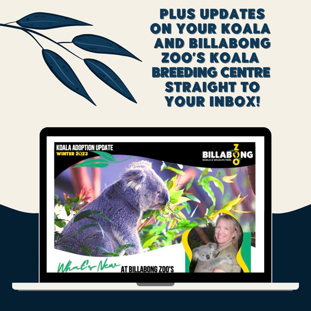 Berry Adopt a Koala Billabong ZOO