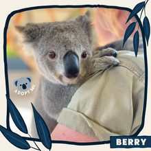 Load image into Gallery viewer, Berry