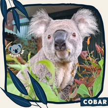 Load image into Gallery viewer, Cobar