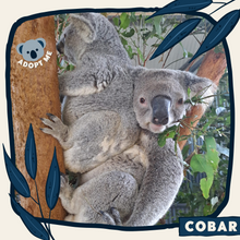 Load image into Gallery viewer, Cobar