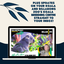 Load image into Gallery viewer, Ryley