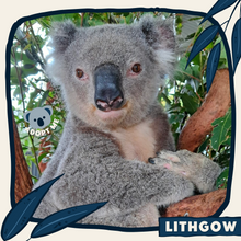 Load image into Gallery viewer, Lithgow
