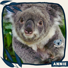 Load image into Gallery viewer, Annie
