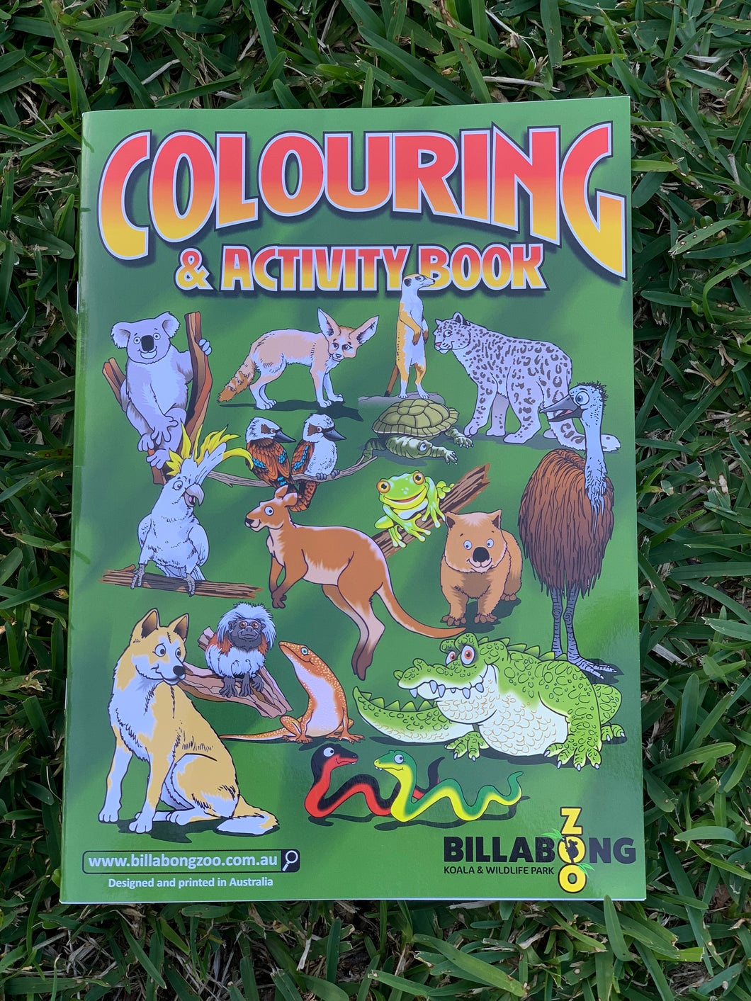 Colouring & Activity Book