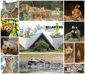 Sponsor Billabong Zoo